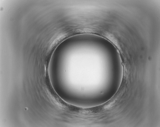 X0000086990109200704231855