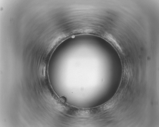 X0000086990110200704231855