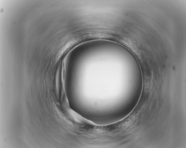 X0000086990111200704231855