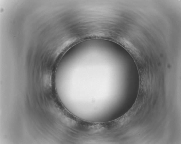 X0000086990112200704231855