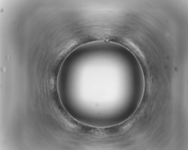 X0000086990113200704231855