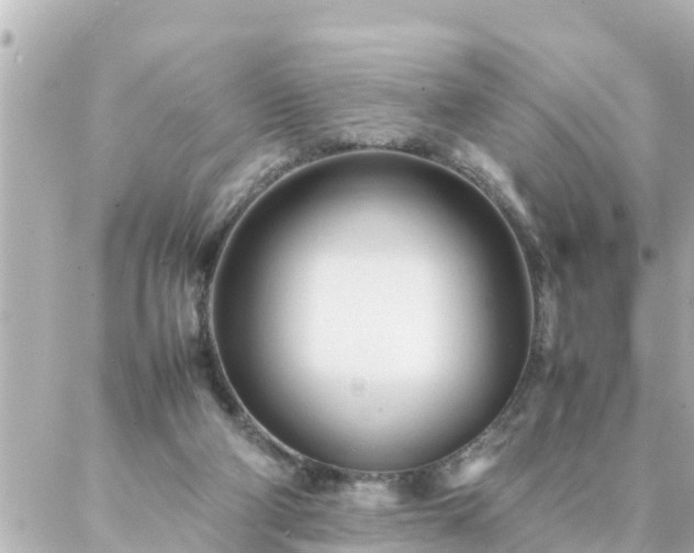 X0000086990114200704231855