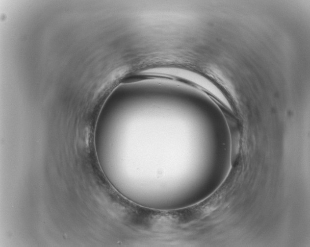 X0000086990115200704231854