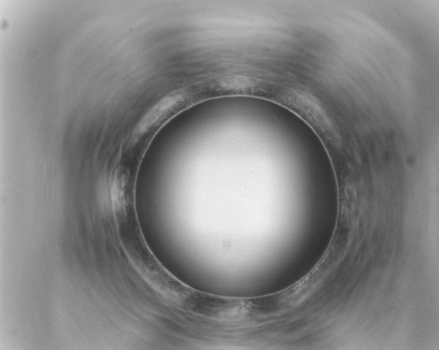 X0000086990116200704231854