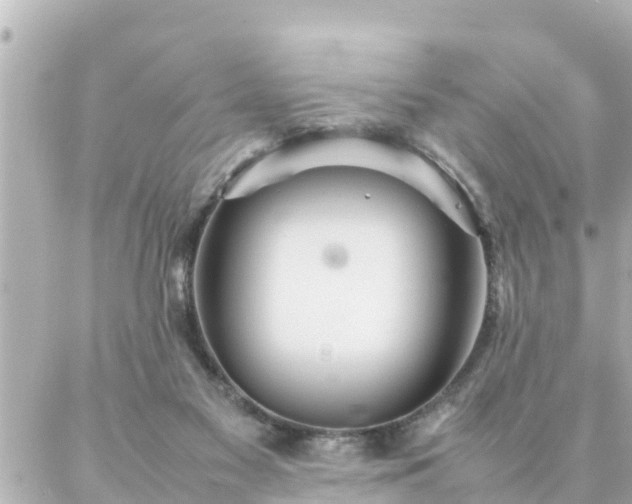 X0000086990117200704231854