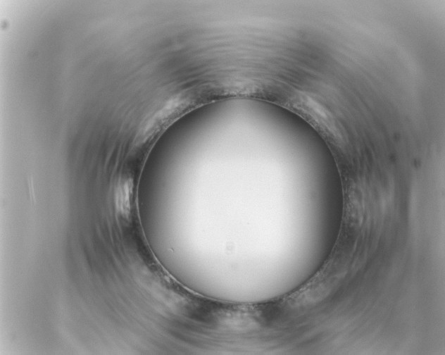 X0000086990118200704231854