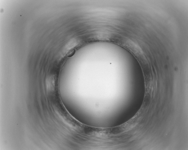 X0000086990120200704231854