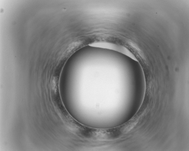 X0000086990121200704231854