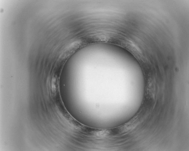 X0000086990122200704231854