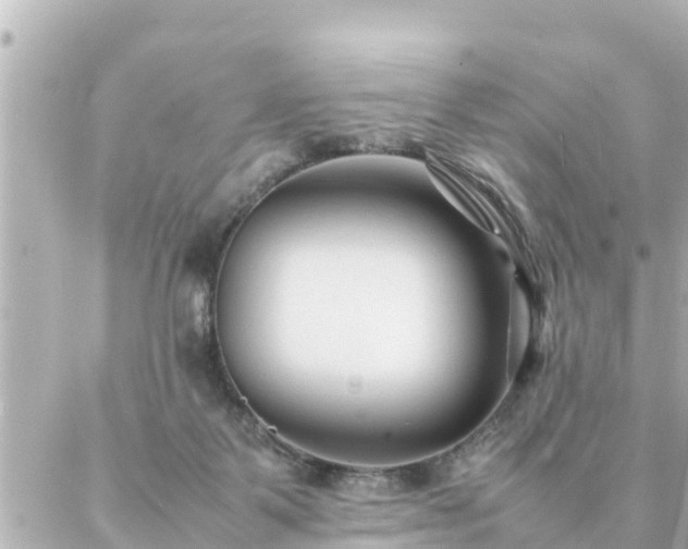 X0000086990123200704231854