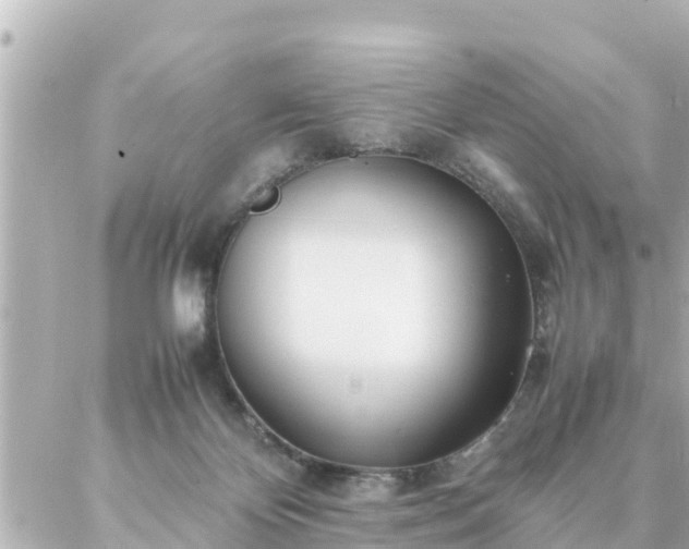 X0000086990124200704231854