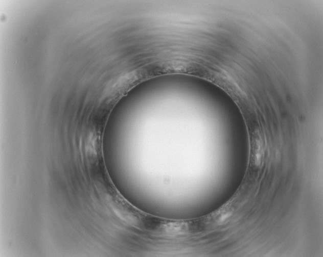 X0000086990126200704231854