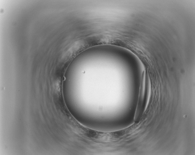 X0000086990127200704231854