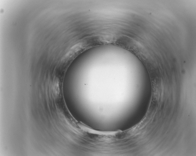 X0000086990128200704231854