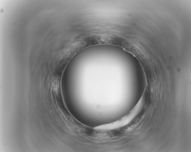 X0000086990129200704231854