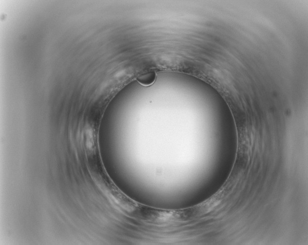 X0000086990130200704231854