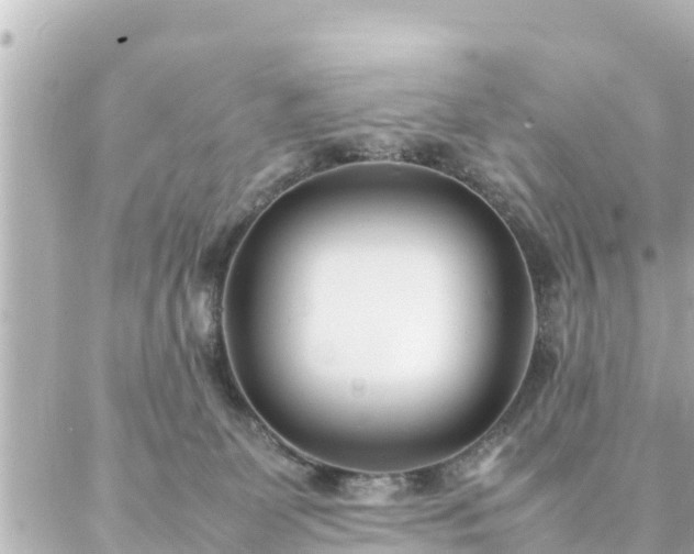 X0000086990131200704231854