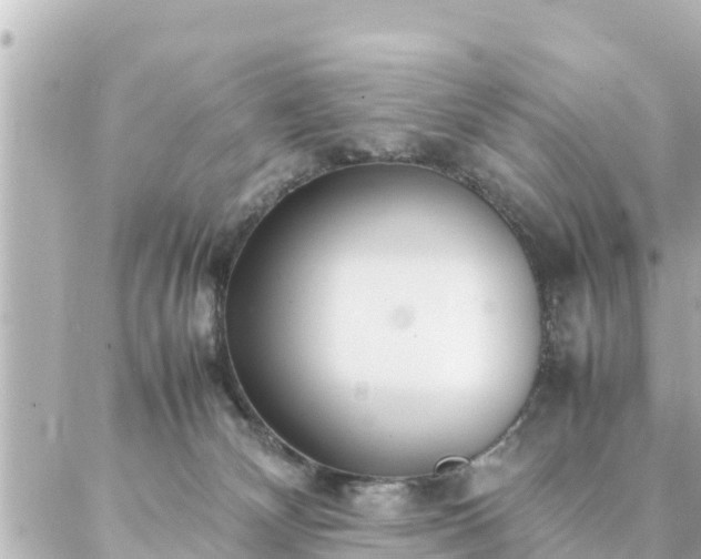 X0000086990132200704231854