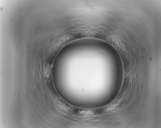 X0000086990133200704231854