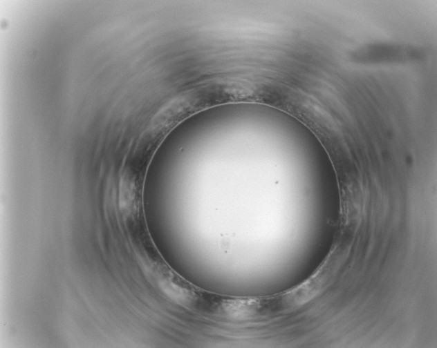 X0000086990136200704231854