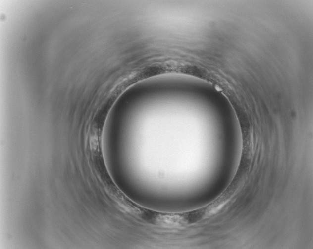 X0000086990137200704231854