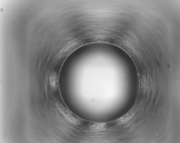 X0000086990138200704231854