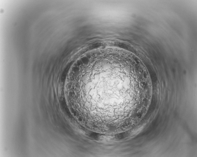 X0000086990139200704231854