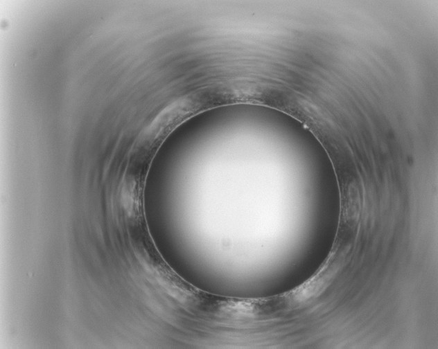 X0000086990140200704231854