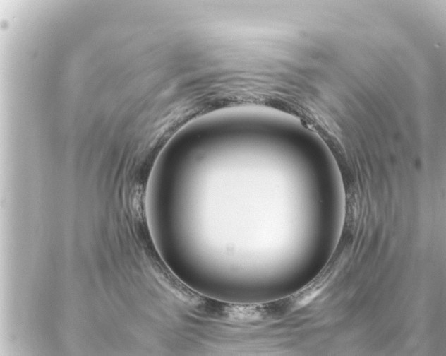 X0000086990141200704231854