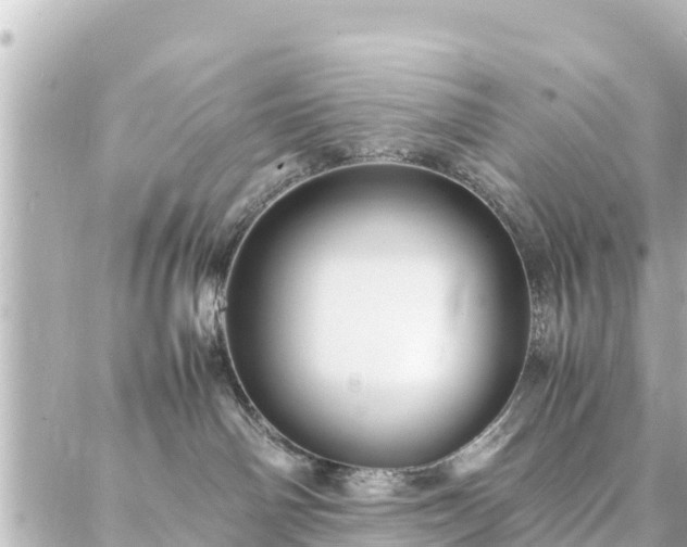 X0000086990142200704231854