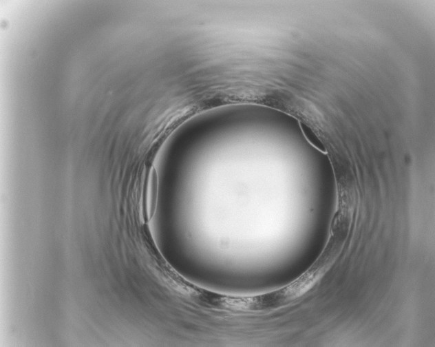 X0000086990143200704231854