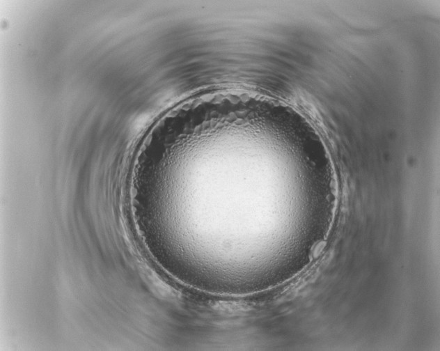 X0000086990145200704231853