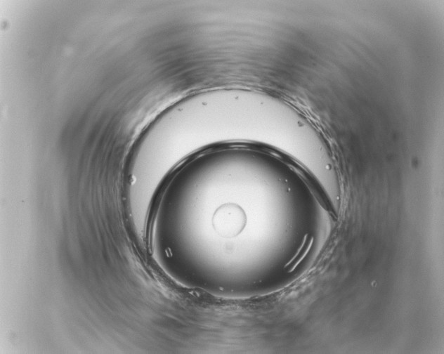 X0000086990146200704231853