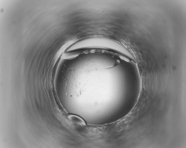 X0000086990147200704231853