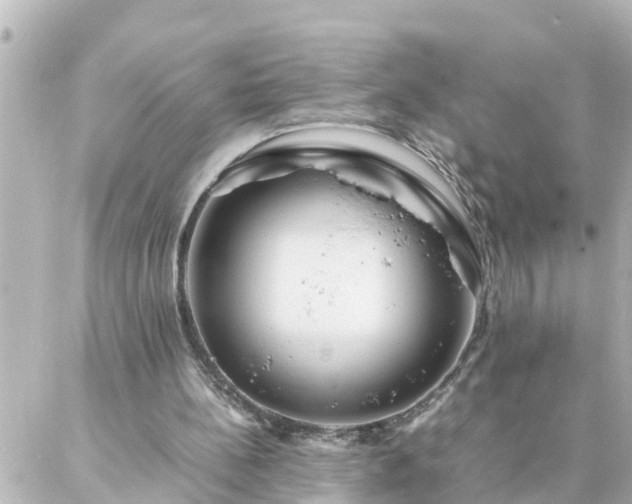 X0000086990148200704231853