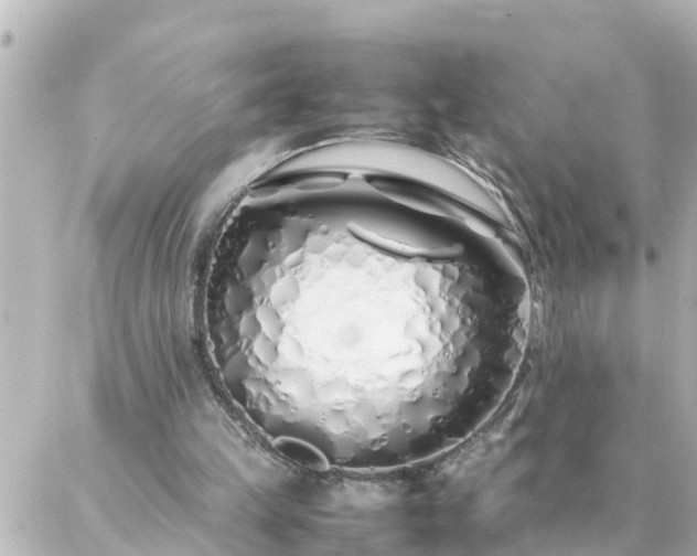 X0000086990149200704231853