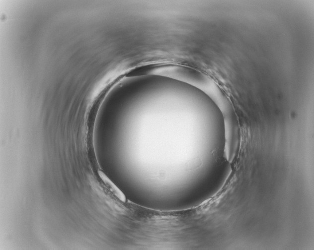 X0000086990150200704231853