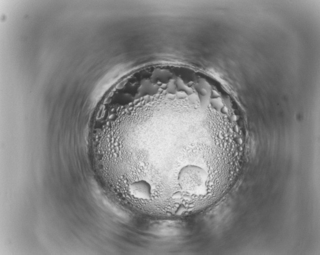 X0000086990151200704231853