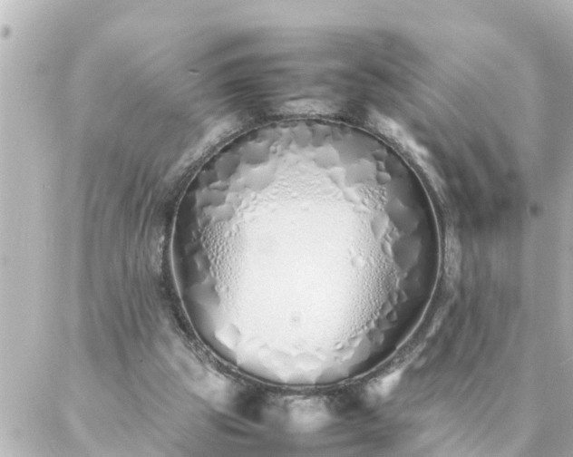 X0000086990153200704231853