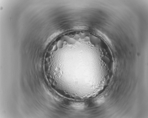 X0000086990155200704231853