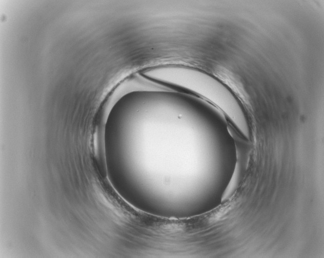 X0000086990156200704231853