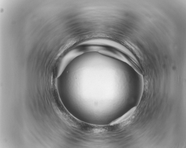 X0000086990158200704231853