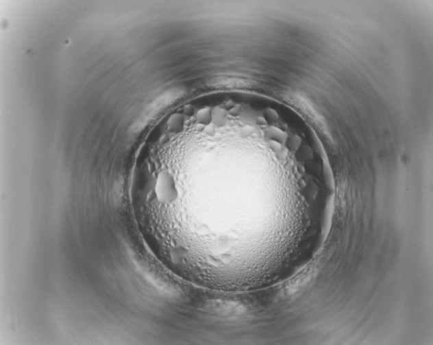 X0000086990159200704231853