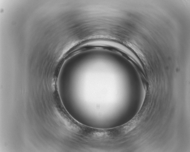 X0000086990160200704231853