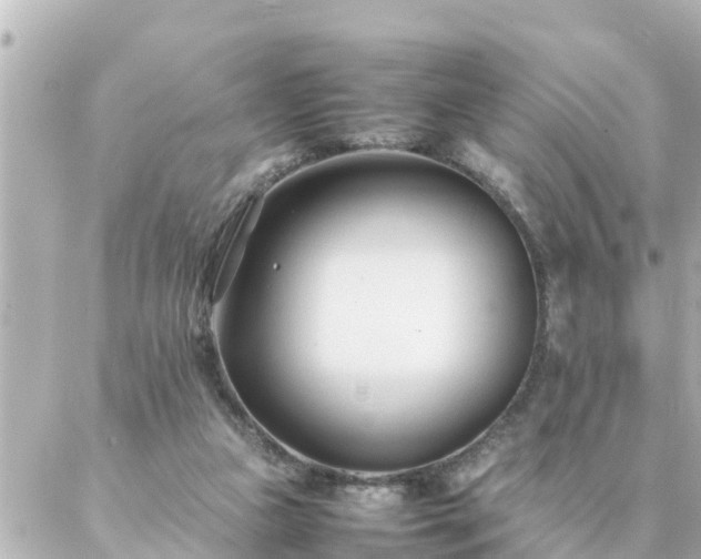 X0000086990161200704231854