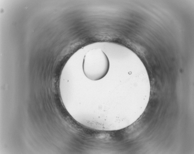 X0000086990162200704231854