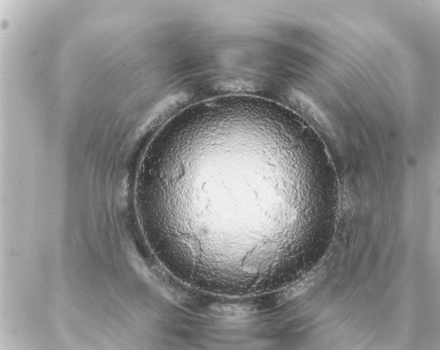 X0000086990163200704231854