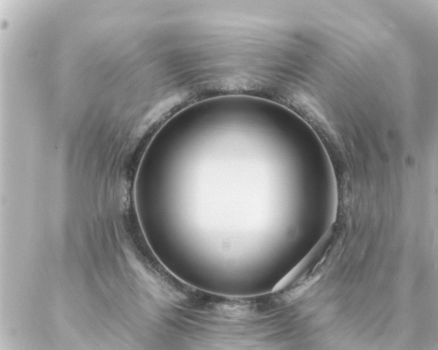 X0000086990164200704231854