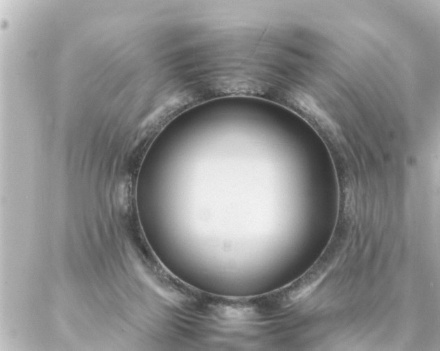 X0000086990165200704231854