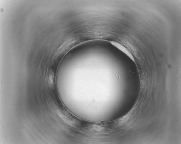 X0000086990166200704231854